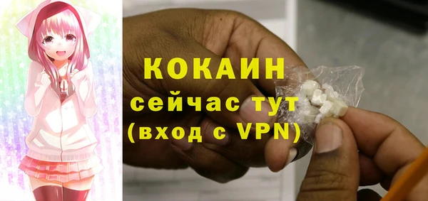 прущие грибы Снежинск