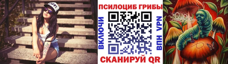закладка Козельск Галлюциногенные грибы Magic Shrooms